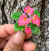 Handmade Mini Anthurium in Pot