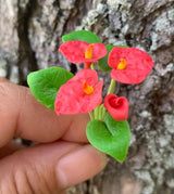 Handmade Mini Anthurium in Pot