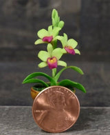 Handmade Mini Dendrobium Orchid in Pot - Size