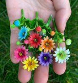 Handmade Mini Gerbera Daisies in Pot