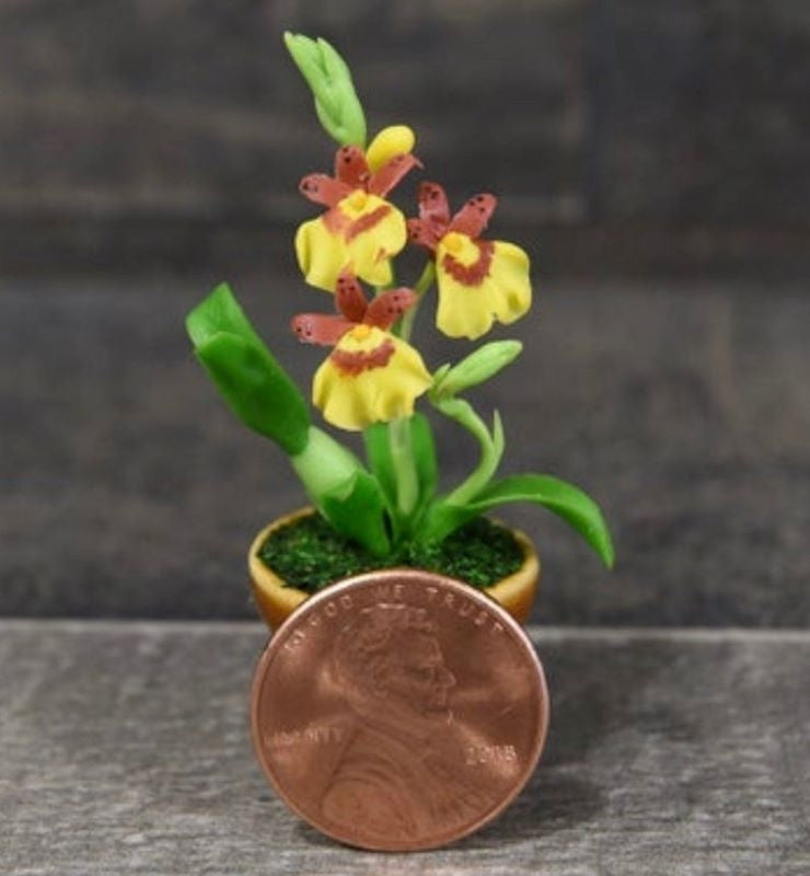 Handmade Mini Oncidium Orchid in Pot - Size