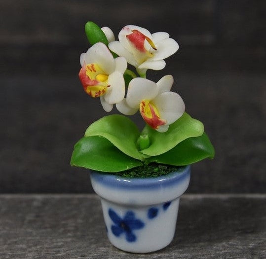 Handmade Mini Phalaenopsis Orchid in Pot- White