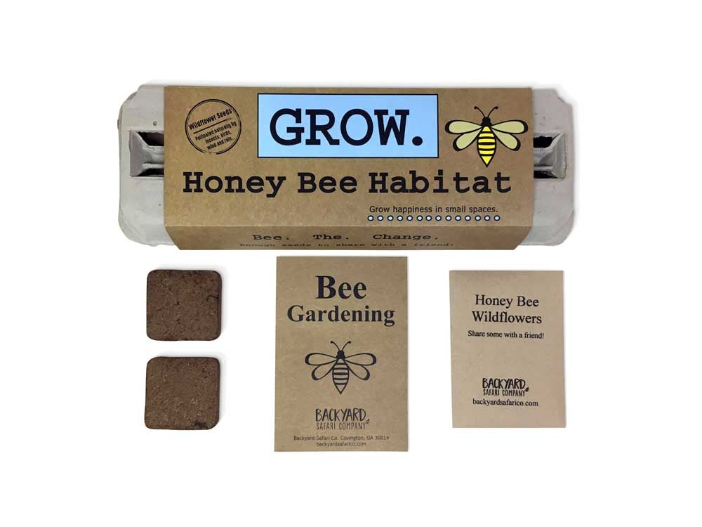 Contents of Honey Bee Growing Kit