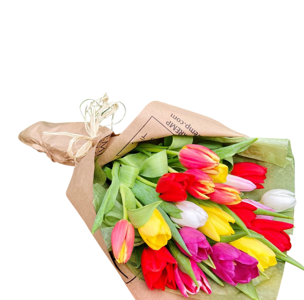 20 stems of assorted color tulips