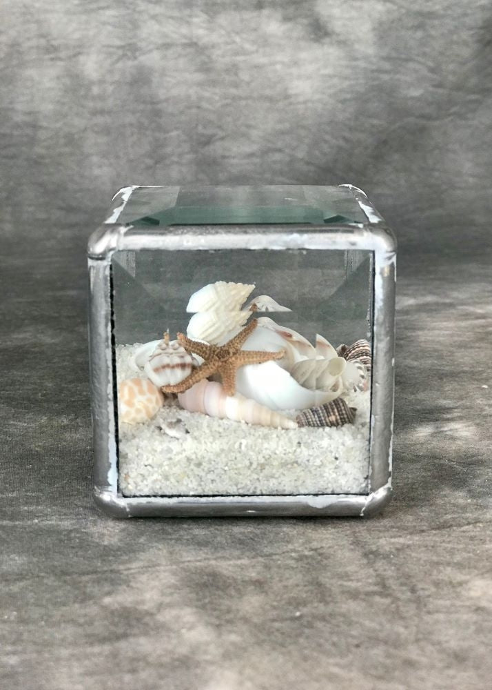 Geometric Beach Terrarium 