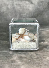 Geometric Beach Terrarium 