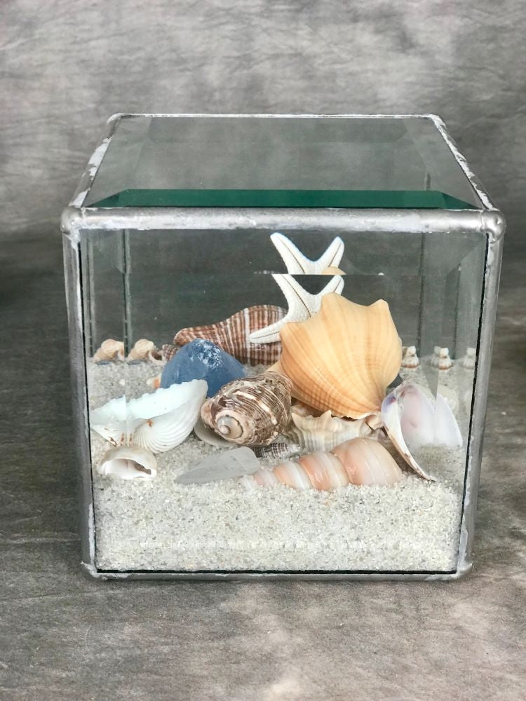 Geometric Beach Terrarium - CUBE