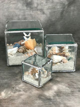 Geometric Beach Terrarium - CUBES