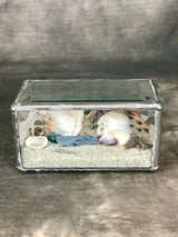 Geometric Beach Terrarium - CUBOID