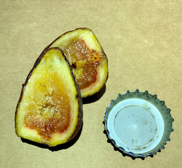 Jebba Fig Fruit