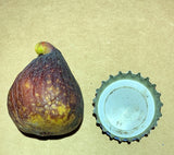 Jebba Fig