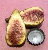 Joan's Juicy Unknown Fig Cross Section