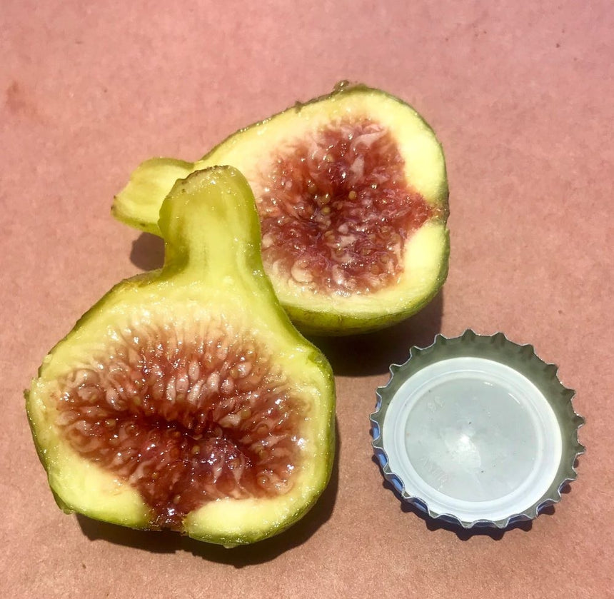 La Bourgeoise Fig Cross Section