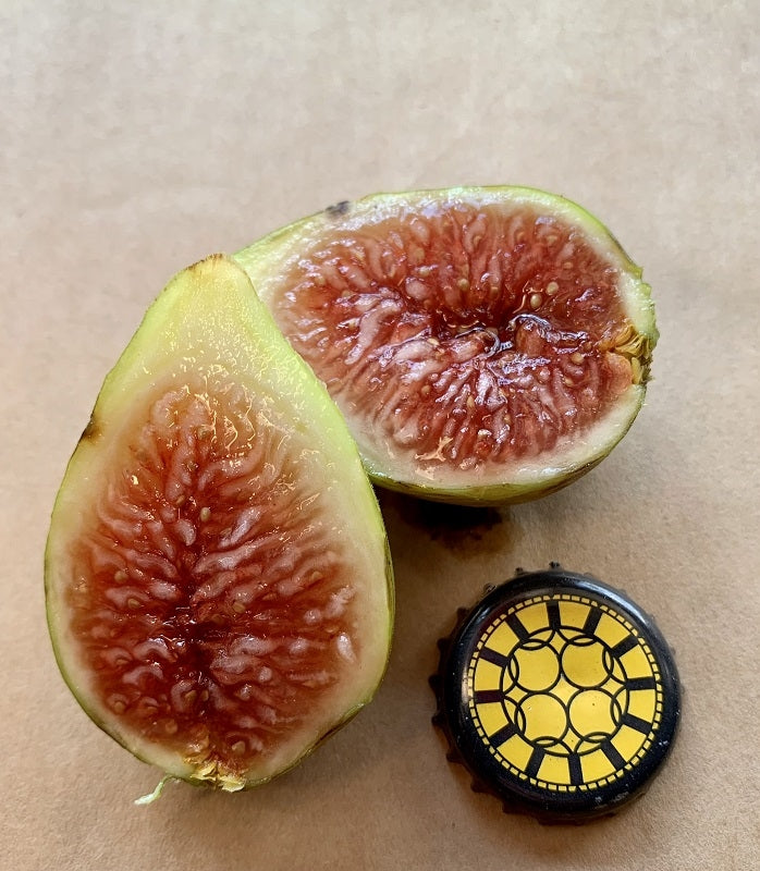 Labritja Fig Fruit Interior