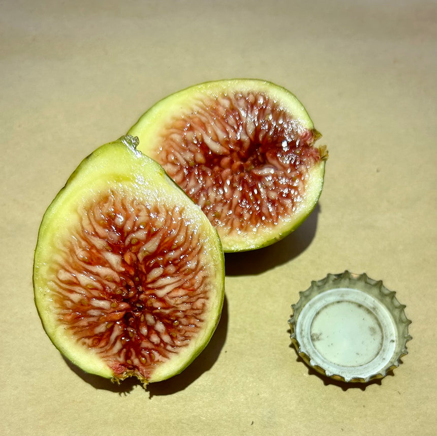 Labritja Fig Fruit