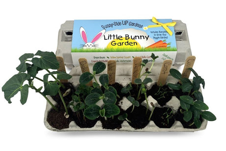 Little Bunny Garden