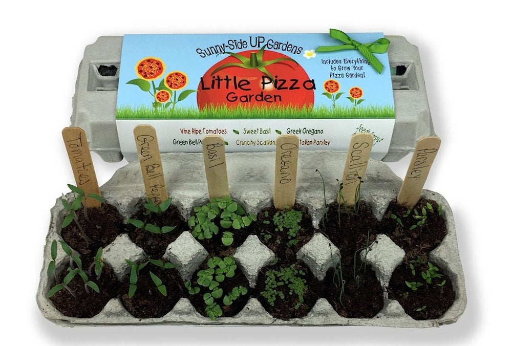 Little Pizza Garden