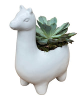 Ceramic Giraffe Succulent Planter