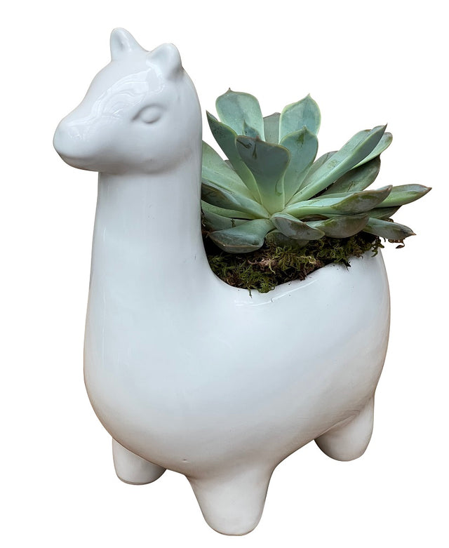 Ceramic Giraffe Succulent Planter