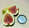 Lloral Fig Fruit