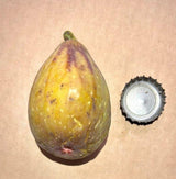 Longue d'Aout Fig Exterior