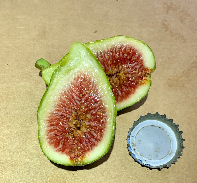 LSU Strawberry Fig Fruit