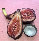 Luv Fig Fruit Cross Section