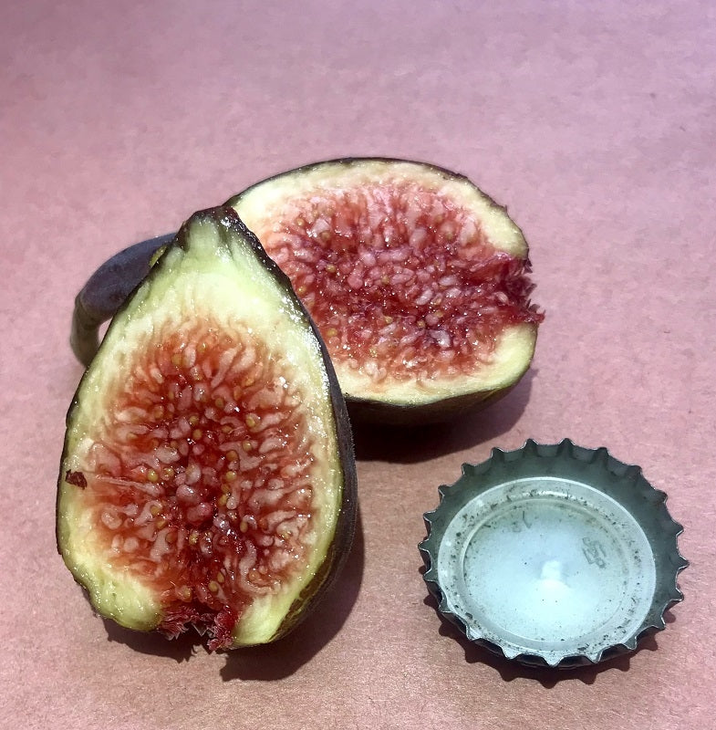 Maltese Beauty Fig Fruit Cross Section