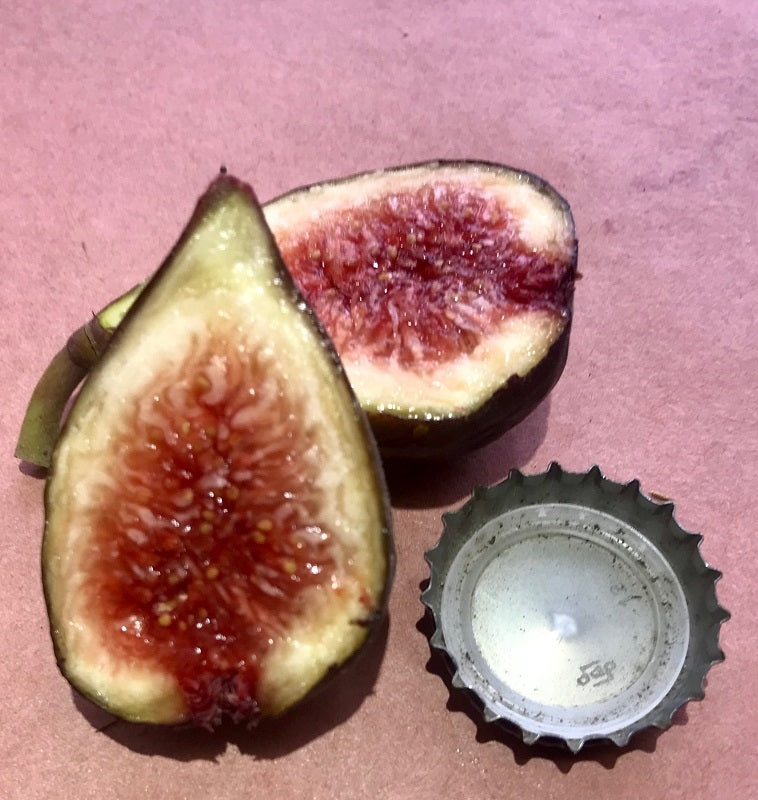 Maltese Beauty Fig Fruit Cross Section