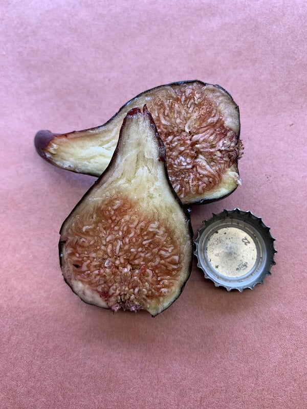 Manresa Fig Fruit