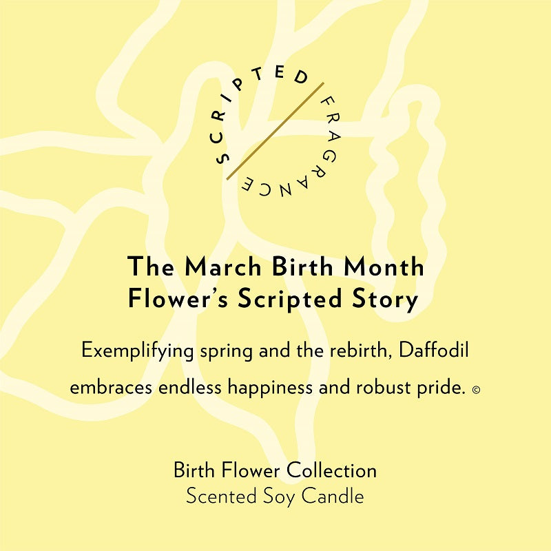 March Birthday Flower Candle Description