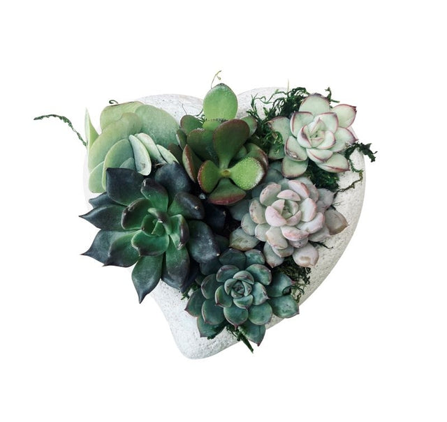 Mini Concrete Heart Succulent Garden