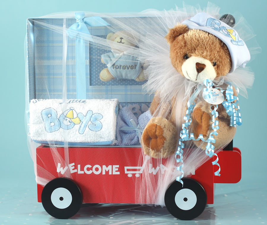 Newborn Welcome Wagon for Boy