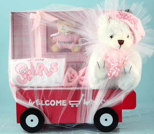 Newborn Welcome Wagon for Girl