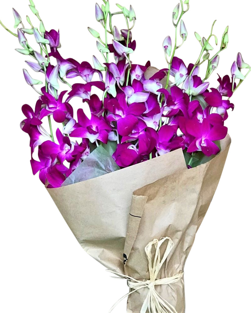 Dendrobium orchids in a wrapped bouquet