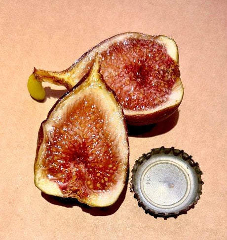 Paratjalina Fig Fruit