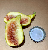 Popone Fig Fruit