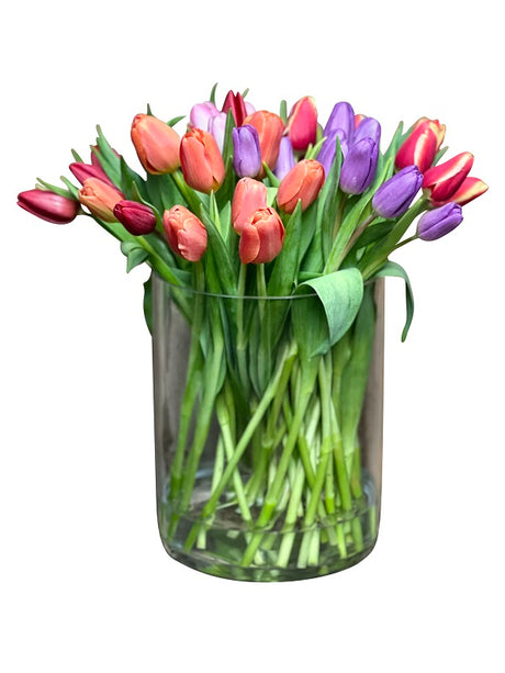 Premium Assorted Color Tulip Cylinder