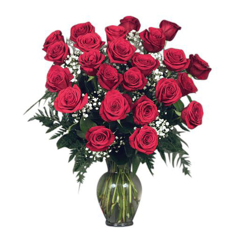 24 premium red roses arranged in a  vase with filler and greens