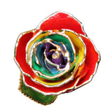 Gold Dipped Rainbow Rose