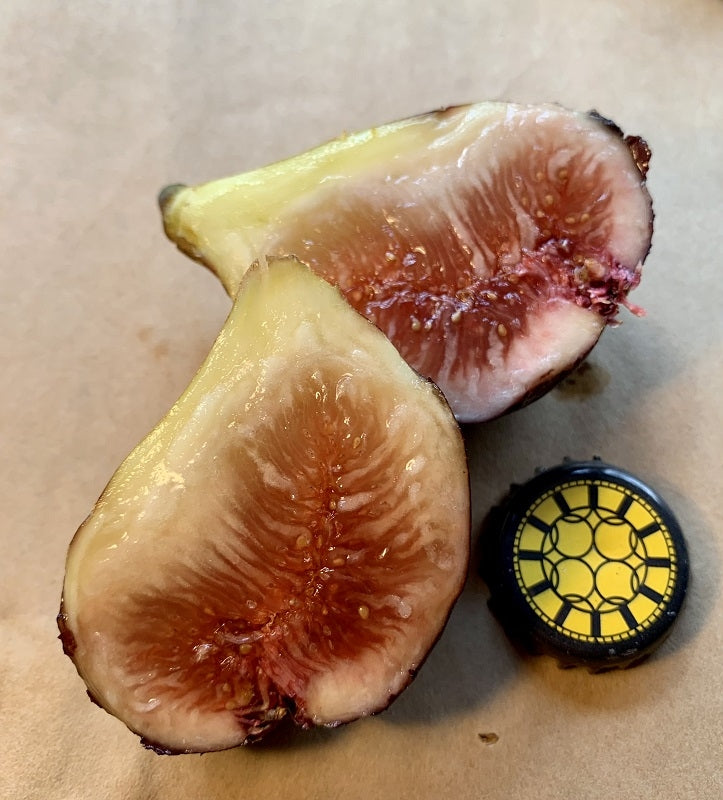 Red Israel Fig Fruit