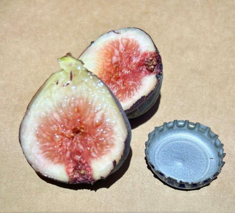 Red Israel Fig Interior