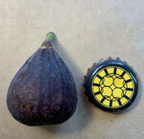 Red Lebanese BV Fig