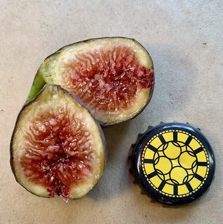 Red Lebanese BV Fig Fruit