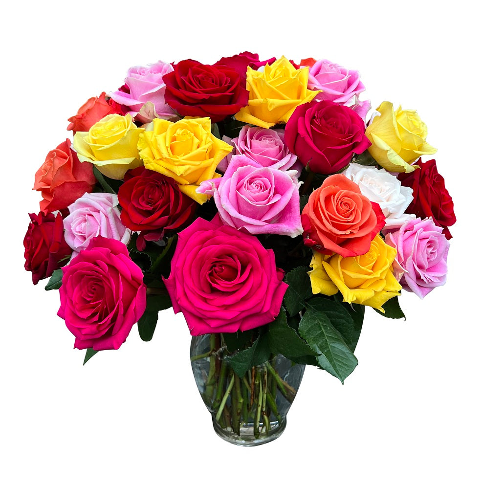 4 dozen assorted color roses in vase