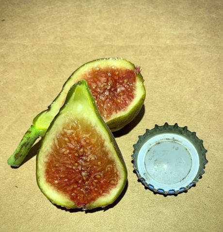 Rossellino Fig Fruit