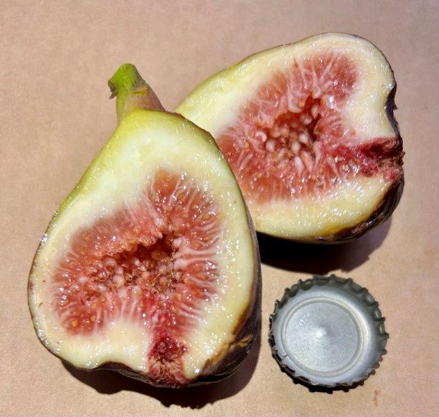 Rosso di Trani Fig Fruit