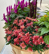 Rustic Autumn Bushel Basket Close up