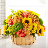 Harvest Sunflower Bouquet - Deluxe