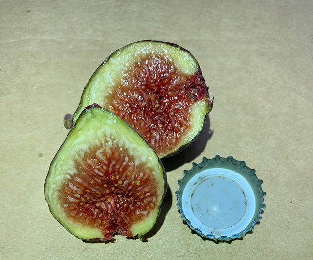 Savanac Noire Fig Fruit